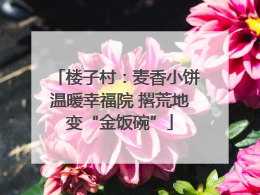 楼子村：麦香小饼温暖幸福院 撂荒地变“金饭碗”